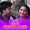 About DIL SE CHAHONA GORIYA Song